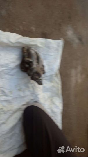 Суппорт тормозной задний. Peugeot 307