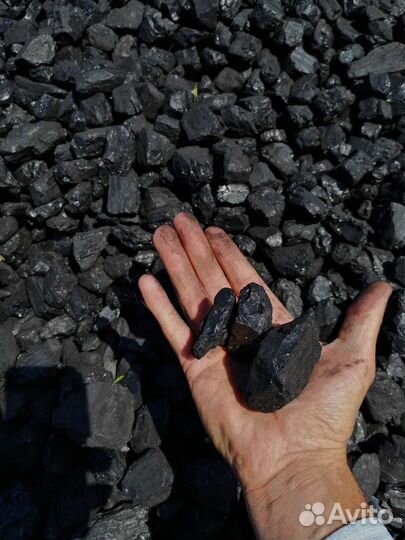 Натуральные дрова: дуб и клён в каждом полене