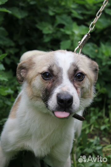 Миниатюрная девочка