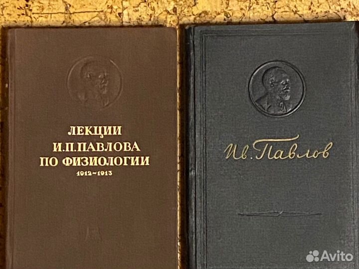 Основы физиологии человека