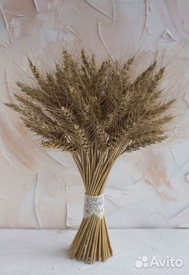 Сухоцветы (рожь, пшеница)