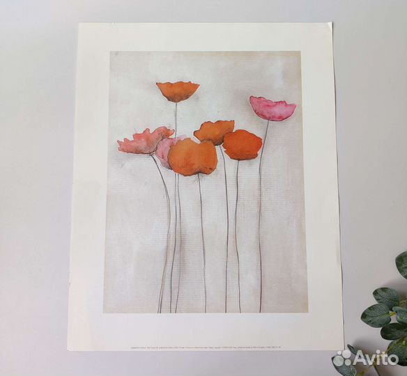 Постер Маки IKEA красные цветы Франция