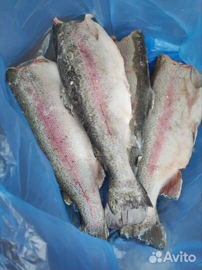 Рыба свежемороженая, креветки, стейки, филе