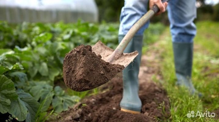 Торфогрунт