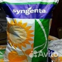 Семена подсолнечника и кукурузы. Оригинал