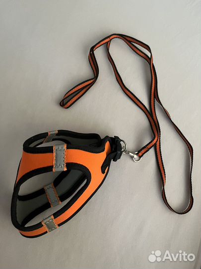 Продам шлейку и поводок для мелких пород
