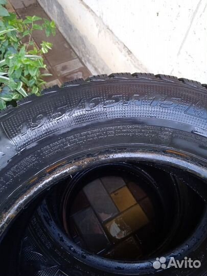 Landsail Winter Lander 195/65 R15