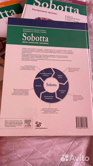 Атлас sobotta комплект из 3 книг и таблиц