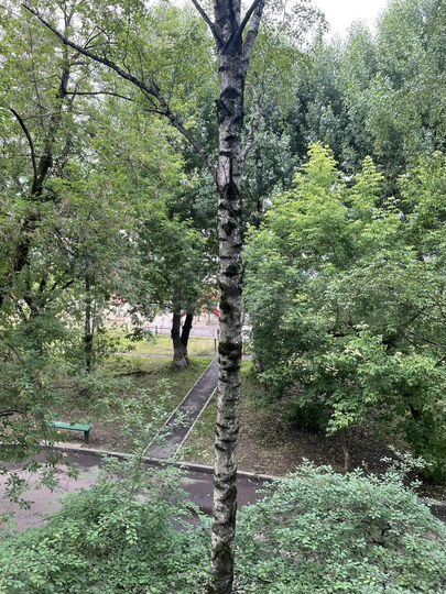 2-к. квартира, 46,5 м², 3/5 эт.