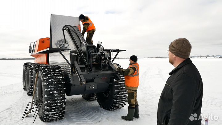 Снегоболотоход 