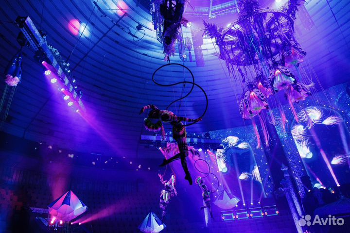 Тренер по воздушной гимнастике