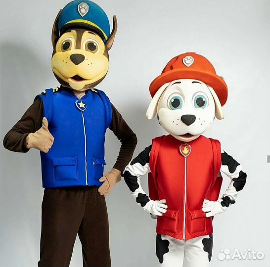 Аниматоры Щенячий патруль Красноярск