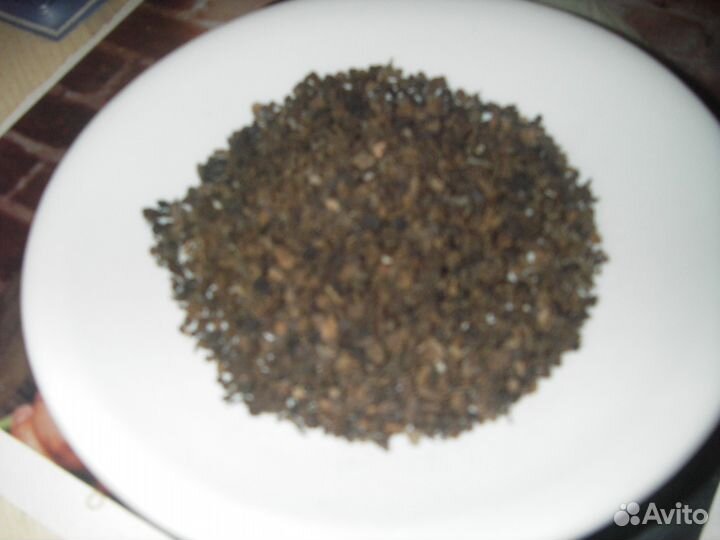 Семена черного американского ореха. Крым2022