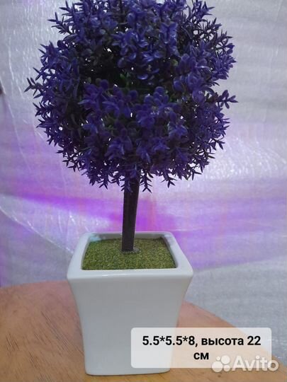 Сувениры и шкатулки для интерьера