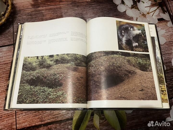 Книга