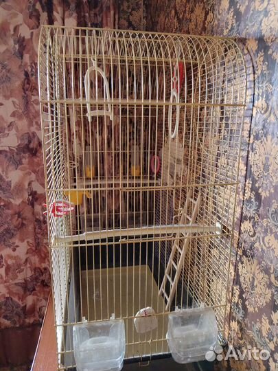 Большая клетка для птиц