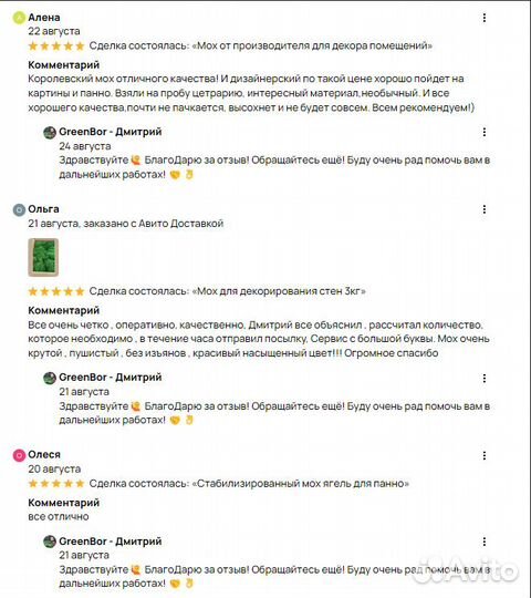 Вечно зеленый мох для интерьерных работ