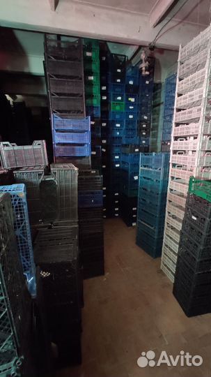 Пластиковые корзинки, ящики