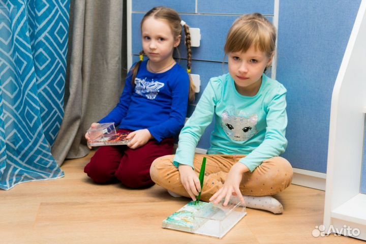 Формикарий/ Подарок для ребенка/ Муравьиная ферма