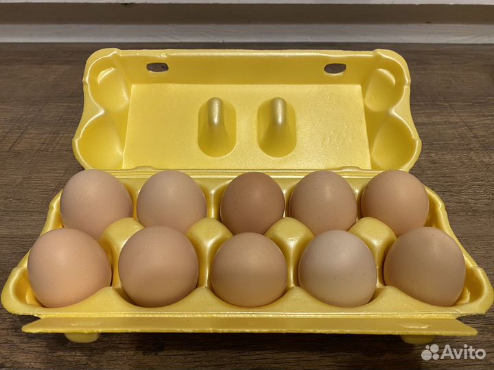 Яйцо домашнее куриное