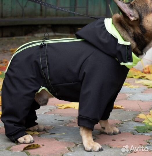 Комбинезон для собаки