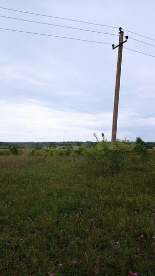 Участок 50,4 сот. (ИЖС)