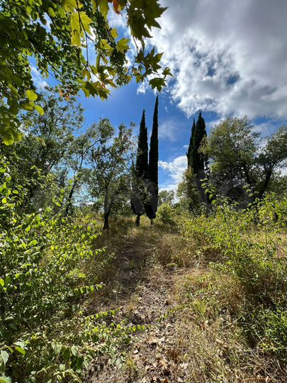 Участок 5 га (ИЖС)