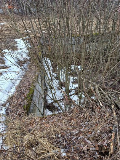 Участок 24 сот. (ИЖС)