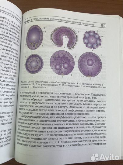 Campbell Биология. 1 том