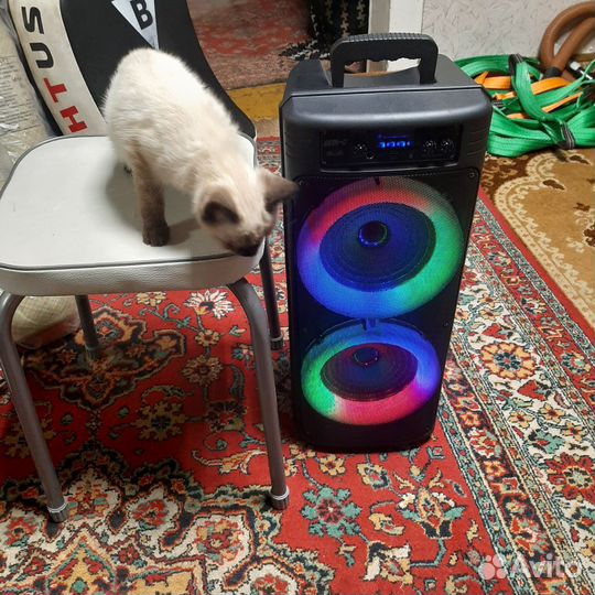 Блютуз колонка