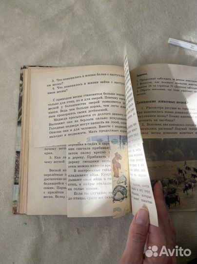 Природоведение 2 класс клепинина