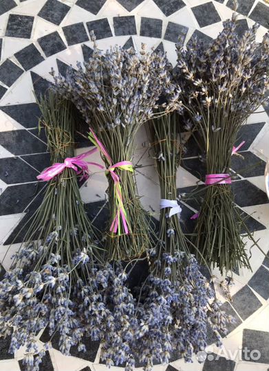 Лаванда сухоцвет букетики этого года