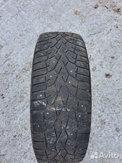 Gislaved NordFrost 100 175/65 R14