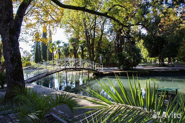 Туры в Абхазию