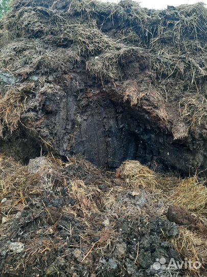 Чернозем перегной