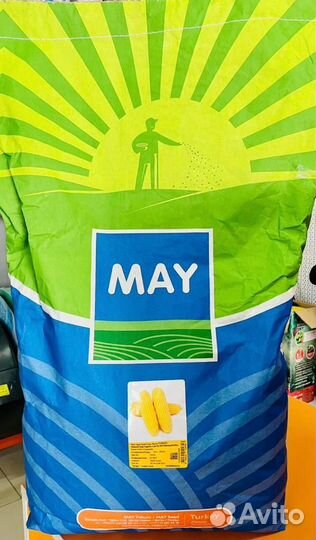 Семена кукурузы Карамелла