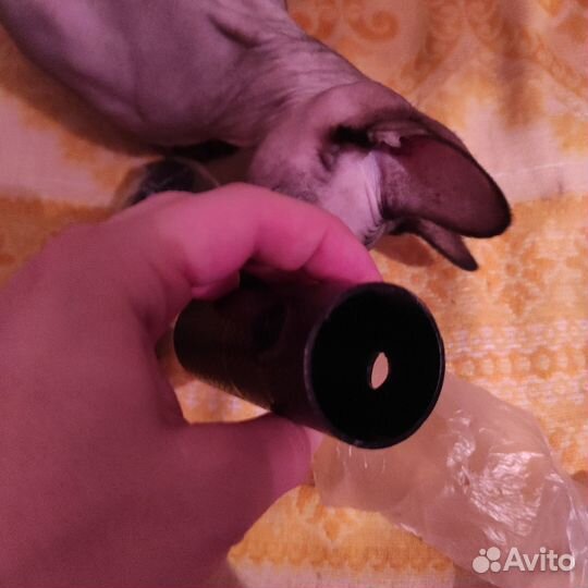 Пеги на bmx Пэги на bmx Новейшие