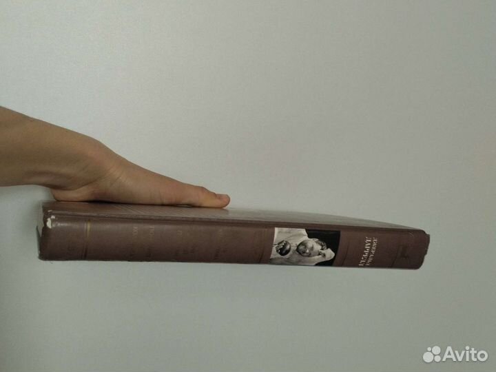 Джеральд Даррелл путь кенгурёнка