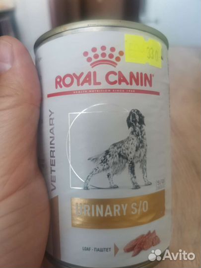 Корм для собак роял канин влажный