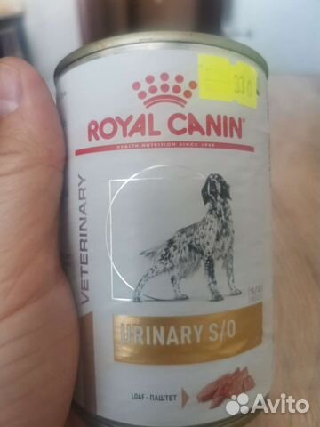 Корм для собак роял канин влажный