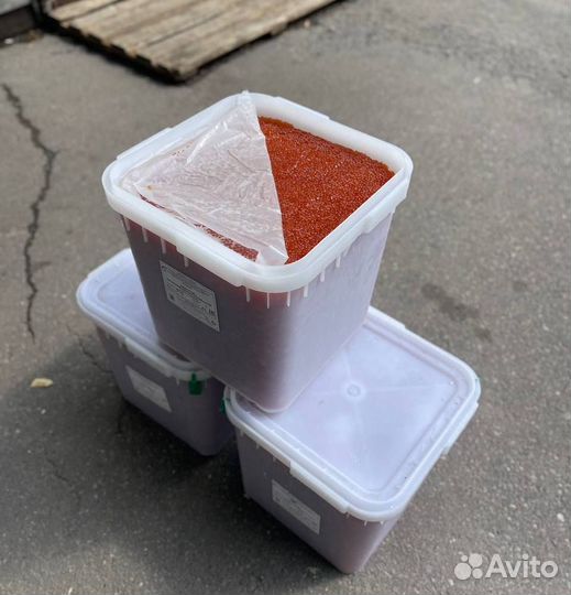 Икра горбуши 2023 Опт