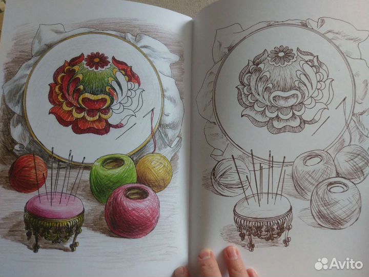 Раскраски новые