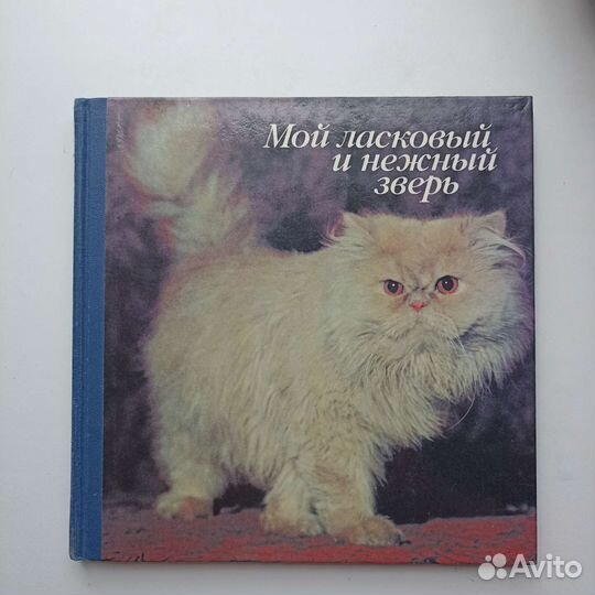 Книги о животных, книги про кошек, детские книги