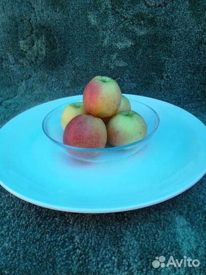 Тарелка большая 35см