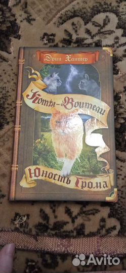 Коты воители