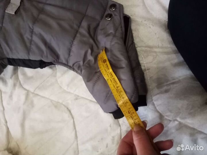 Костюм для маленьких собачек