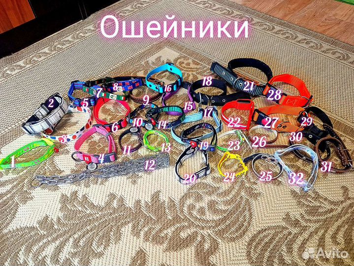 Амуниция для собак