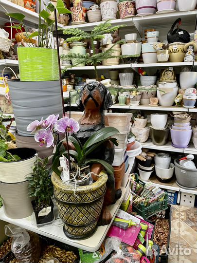 Садовые фигуры из полистоуна