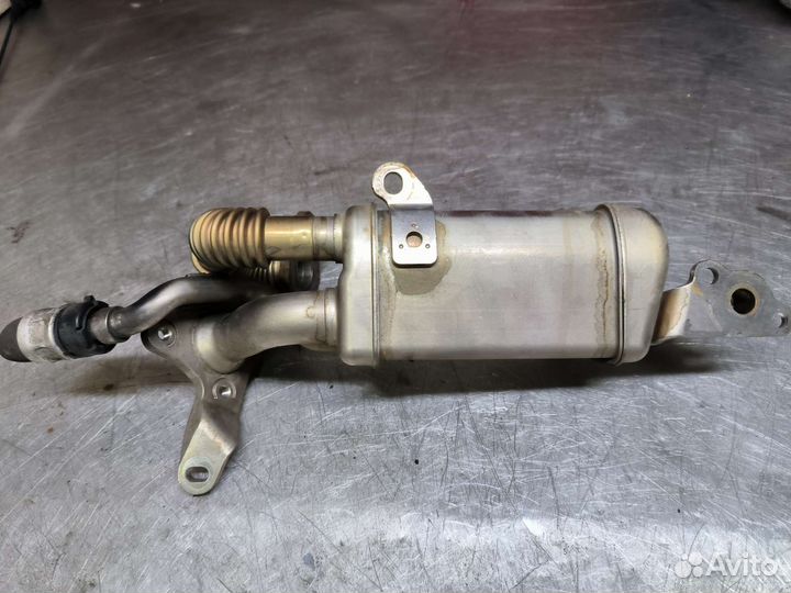 Renault 1.5 DCI охладитель егр радиатор