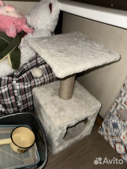 Когтеточка с домиком